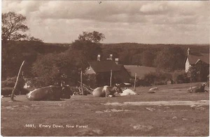ENGLAND EMERY DOWN NEW FOREST HANTS POSTCARD - Picture 1 of 1