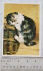 postcard Cats - Cat with a Basket by Charles van den Eycken