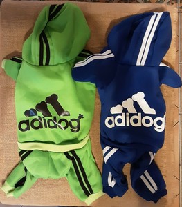 adidog ebay
