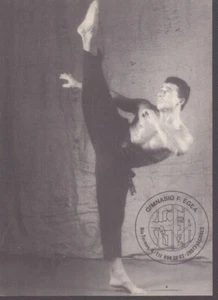 Gimnasio F. Egeo - Karate, Aikido - Calendar Business Card  1994 -  3.5" x 2.5" - Imagen 1 de 2