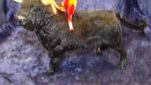 SCHWARZER SAMTBULLE ~ 7""x 5"" ~ Sehr guter Zustand ~ FIGUR ~ - Bild 1 von 7