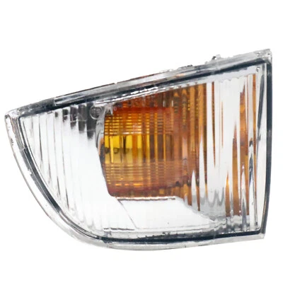 Calotta Freccia Specchietto Retrovisore Lato Guida per Iveco Daily IV CKXJ - Immagine 1 di 4