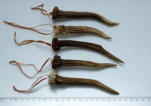 Schöner weihnachtlicher Baumschmuck aus 5 echten Geweihstangen - Bild 1 von 2