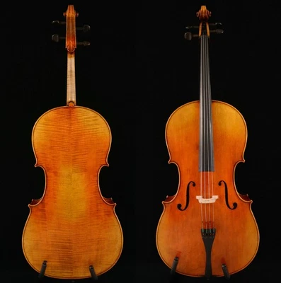 Grande Suono Violoncello Stradivari 1712 Davidov Violoncello Fiamma Capovolta n.W024 - Immagine 1 di 4