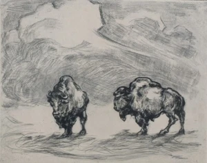 Bisons Friedrich Stichling 1884 - Bild 1 von 6