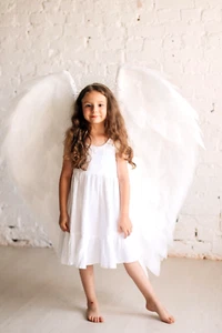 Angel Wings Costume Props for Adult Teens and Kids Valentine's Day Cosplay Kids - Picture 1 of 7