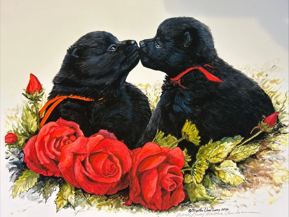 Щенки Schipperke цветная печать от Martha Van Loan 11x17 - Изображение 1 из 1