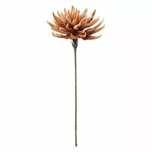 Fantasy Flowers Terra Nova - Bild 1 von 1