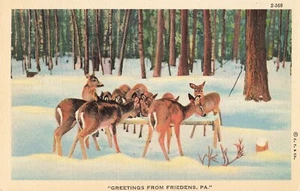 Friedens, Pennsylvania Postcard Greetings Deer Winter Scene c 1938  S3 - Picture 1 of 2