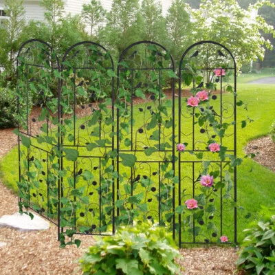 Rankgitter Metall 210cm Spalier Rankhilfe Sichtschutz Pflanzengitter Set Tomaten - Bild 1 von 4