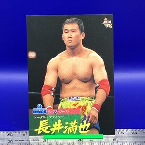 Mitsuya Nagai BBM Pro Wrestling Card TCG Vintage Japanese #66