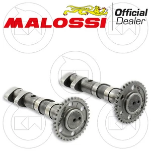 MALOSSI ALBERO A CAMME DOUBLE POWER CAM 5915981 YAMAHA T-MAX TMAX 530 ANNO 2012 - Foto 1 di 3