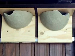 2 Mehlschwalben Nester Holzbeton Vogelhaus Schwalben Nest Futterhaus - Bild 1 von 5