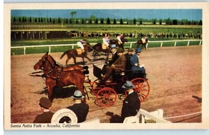 Postkarte CA Arcadia Santa Anita Park Pferderennen preisgekrönte Hackneys Leinen - Bild 1 von 2