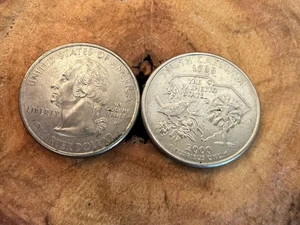 2000 P SOUTH CAROLINA STATE COIN - Picture 1 of 4