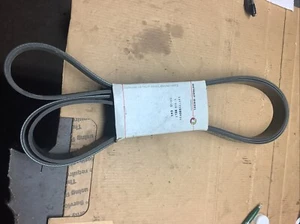 Detroit Diesel A4729930496 V-Rib Belt - Picture 1 of 4