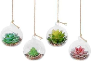 4 Pack Hanging Glass Globe Air Planter Terrarium Vase with 39 Inch Sling (Not In - Picture 1 of 3