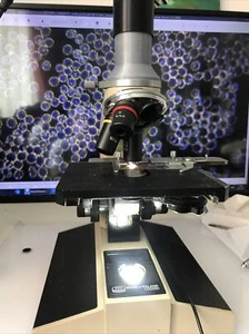 Gross Dunkelfeld Mikroskop Mit Adapter Für Kamera - Bild 1 von 22