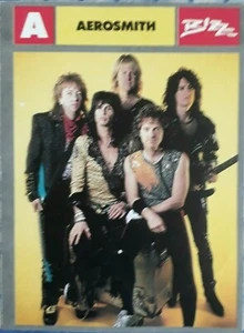 AEROSMITH MINI CARD BRAZIL BIOGRAPHY DISCOGRAPHY NICE PICTURE RARE - Picture 1 of 2