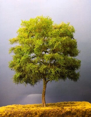 NEUTRINO MODELLBAU UG (HAFTUNGSBESCHRÄNKT) Diorama Zubehör, 1 Modellbaum Buche, 40 cm hoch