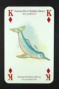 1 x playing card of a Amazon River Dolphin (Boto) ≠ King of Diamonds ≠ T25