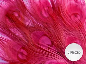 5 Pezzi – Piume Occhi Coda di Pavone Rosa Caldo Sbiancate e Tinte Lunghe 10-12” Artigianali - Foto 1 di 9