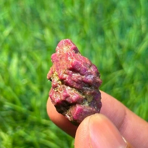 Natural Red Ruby Sapphire Unique Piece Rough Indian Mines 48.8Ct Loose Gemstone - Picture 1 of 8