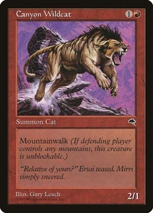 1997 Canyon Wildcat Tempest Magic The Gathering MTG HP - Picture 1 of 1
