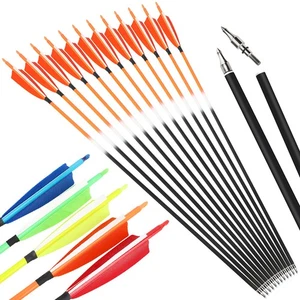 30" Archery Carbon Arrows SP500 4" 5" Feathers Tips Recurve Compound Bow Hunting - Picture 1 of 20