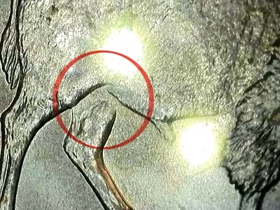 2005 P BU Detached Leg Jefferson bison nickel error “Ender coin” Lightly Toned - Image 1 of 4