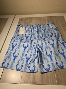 Classic Prep Kid's Boy's Blue Andrew Lobster-Print Shorts Size XL - Picture 1 of 2