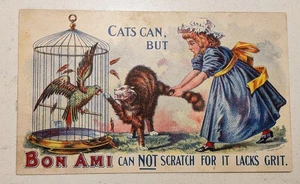 Antique Victorian Trade Card Advertising - The Bon Ami Company - NYC - Picture 1 of 2
