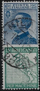 1924-25 Regno d'Italia Pubblicitari 25 c. Reinach Usato sass 7 - Foto 1 di 1