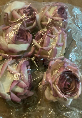 6 LARGE (2-1/2" Or Larger) Crème With Purple Edges Paper Roses - Image 1 of 3