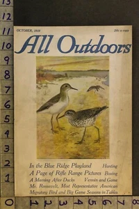 1919 NATUR TIER VOGEL PFERD SANDPFEIFER AUDUBON UFER VINTAGE KUNST COVER VJ27 - Bild 1 von 1