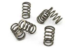 EBC molle frizione rinforzate +10% Aprilia RS 125 SX MX RX TUONO ROTAX 122 123 - Foto 1 di 1