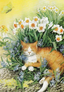 Postkarte: Löök - Katze in Blumen / Nr. 113 - Picture 1 of 1