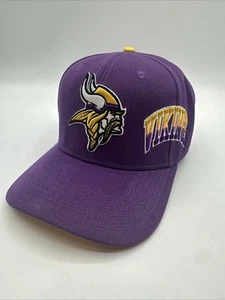 Minnesota Vikings Hat Pro Standard Purple Snapback NFC 1960 Patch - Rare - Picture 1 of 19