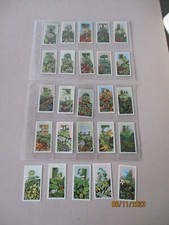 Ringtons Fruits of Trees and Shrubs 1964 Complete Full Set of 25 Cards