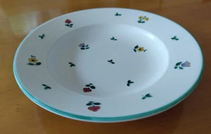 Gmundner Keramik Streublumen Suppenteller Gourmet, D 24 cm, 0,3 Liter gebraucht - Bild 1 von 4