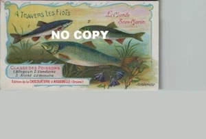 Chromo Chocolat d'AIGUEBELLE - Monde sous-marin : BLAGEON VANDOISE ALOSE - Bild 1 von 2