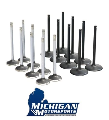 Juego de válvulas de repuesto de stock para válvulas LT1 L86 L87 2014+ 6,2 L - 2,125" / 1,59" Foto 1 de 4