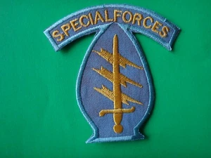 US Army 1st SPECIAL FORCES GROUP Shoulder Patch From Vietnam War Era - Bild 1 von 3