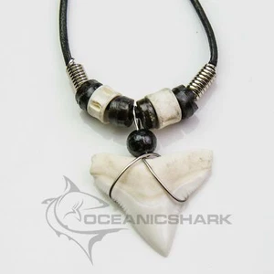 Bull shark Carcharinus leucas tooth necklace c180 - Bild 1 von 3