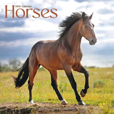 AVONSIDE PUBLISHING LTD Horses 2026 Calendar Gift Horse Wall 20% OFF MULTI ORDERS