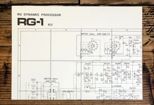 Pioneer RG-1 Dynamic Processor Fold Out Schematic *Original* - Bild 1 von 1