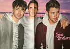 Jonas Brothers Poster