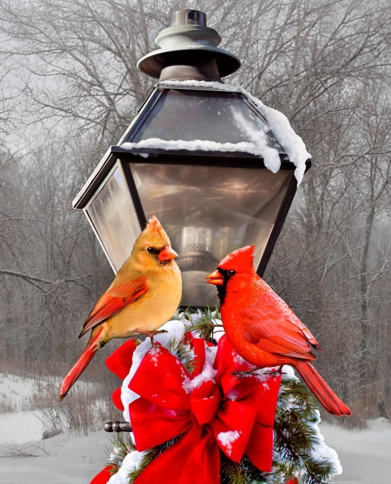 35" Fabric Panel | David Textiles Digital Christmas Winter Cardinal Street Lamp - Image 1 of 1