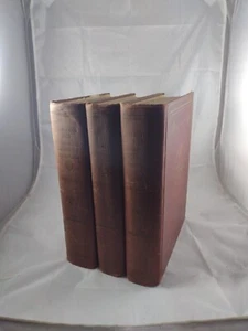 Webster's New International Dictionary Second Edition 3 Volume Set 1946 - Foto 1 di 12