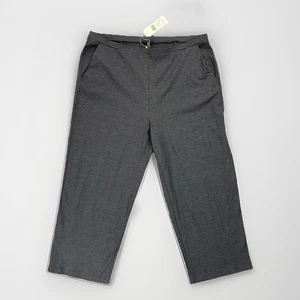 Pantalones cortos para mujer Eileen Fisher talla XL gris pierna ancha EE. UU. NUEVOS CON ETIQUETAS $158 - Imagen 1 de 15